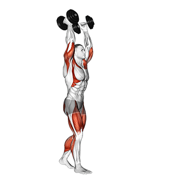 Dumbbell Overhead Carry