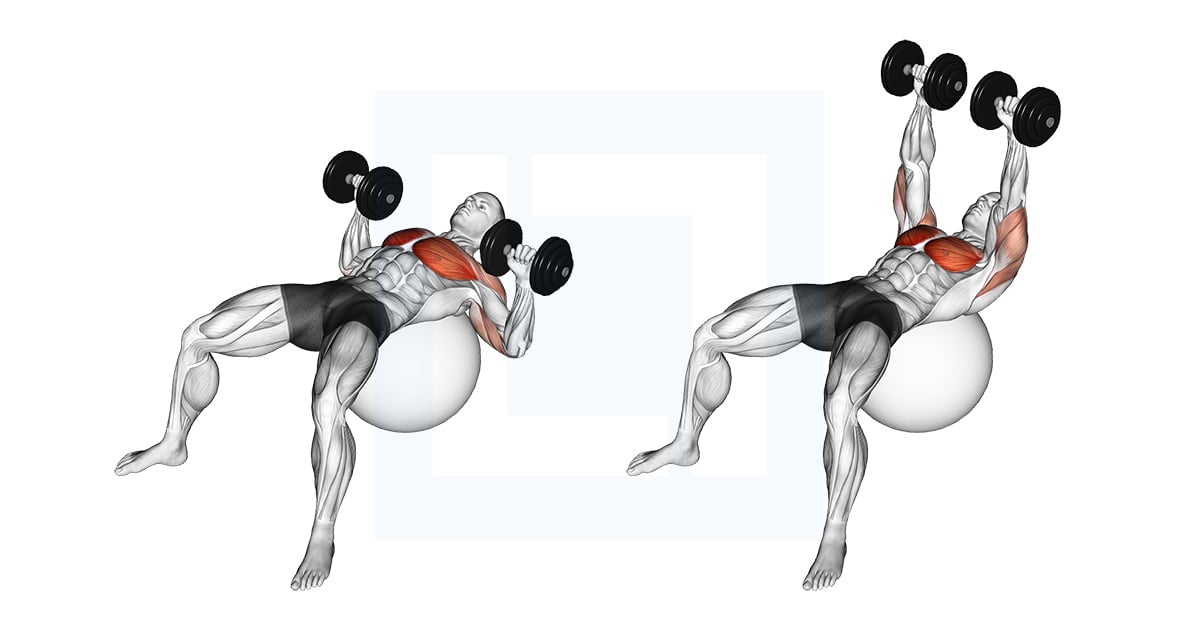 Haltères Développé on Exercise Ball