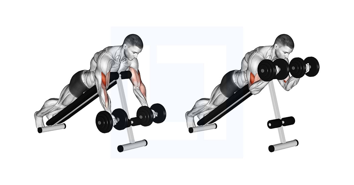 Haltères Prone Incline Curl