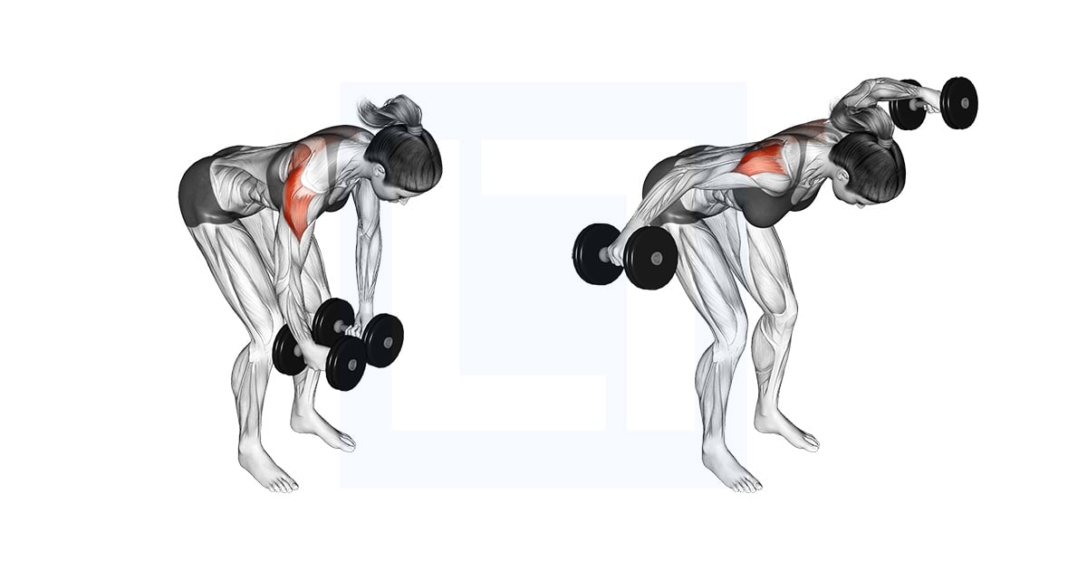 Haltères Rear Delt Écarté