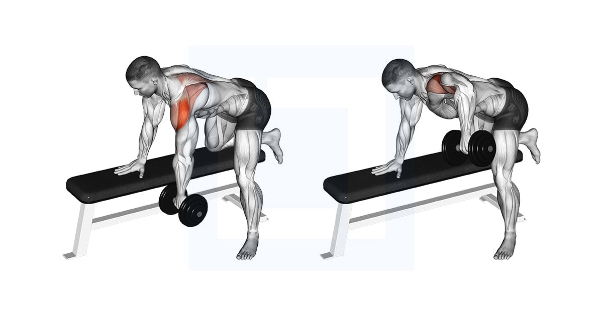 Haltères Rear Delt Rowing