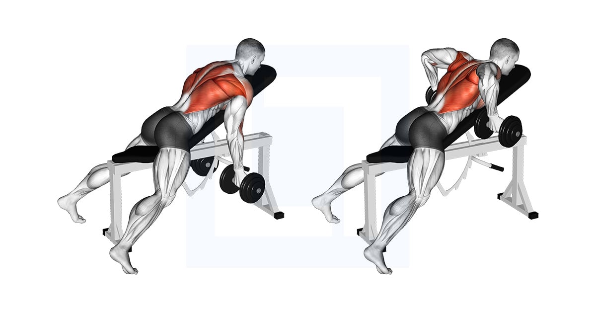 Haltères Reverse Grip Incline Bench Two Arm Rowing