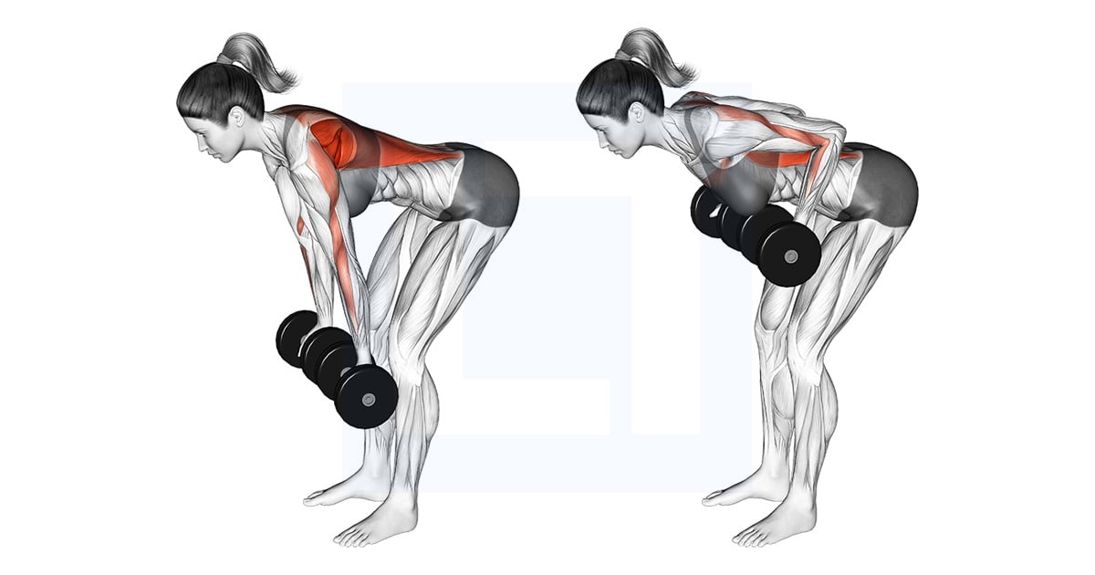 Haltères Reverse Grip Rowing