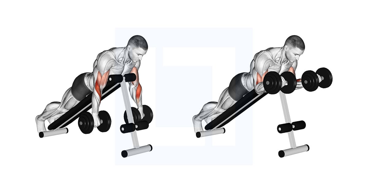 Haltères Reverse Spider Curl