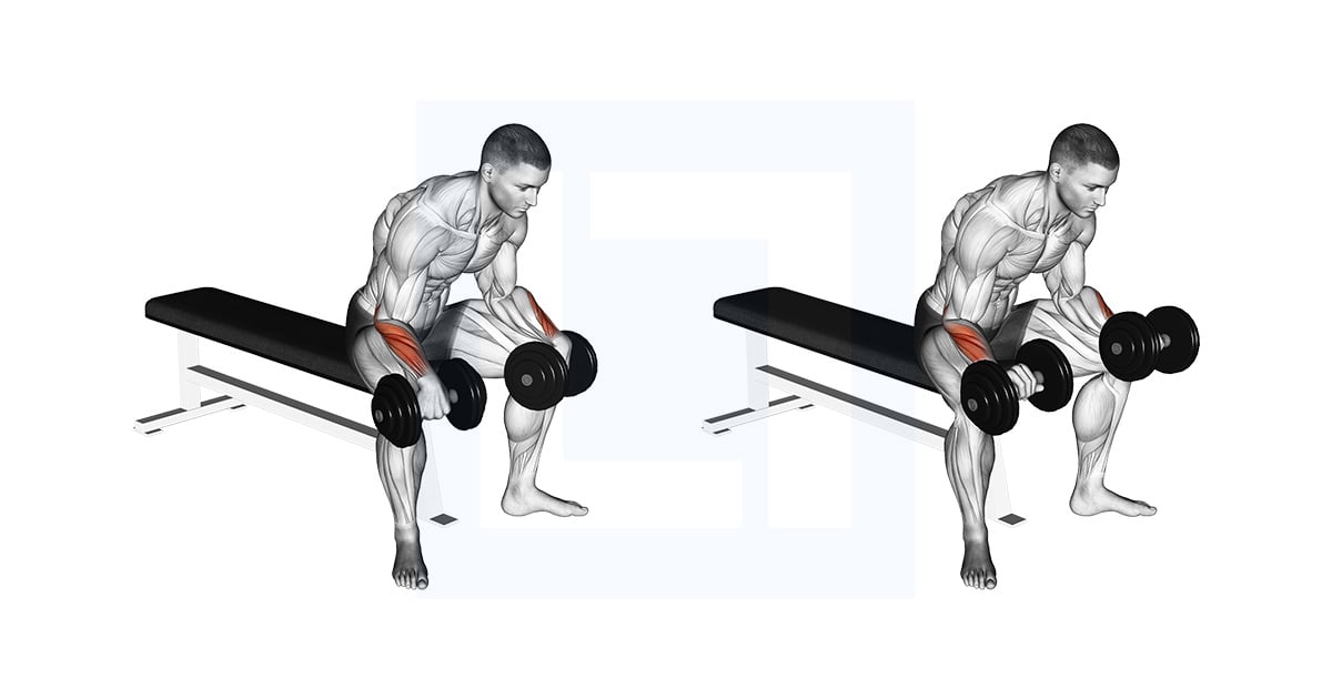 Haltères Reverse Wrist Curl