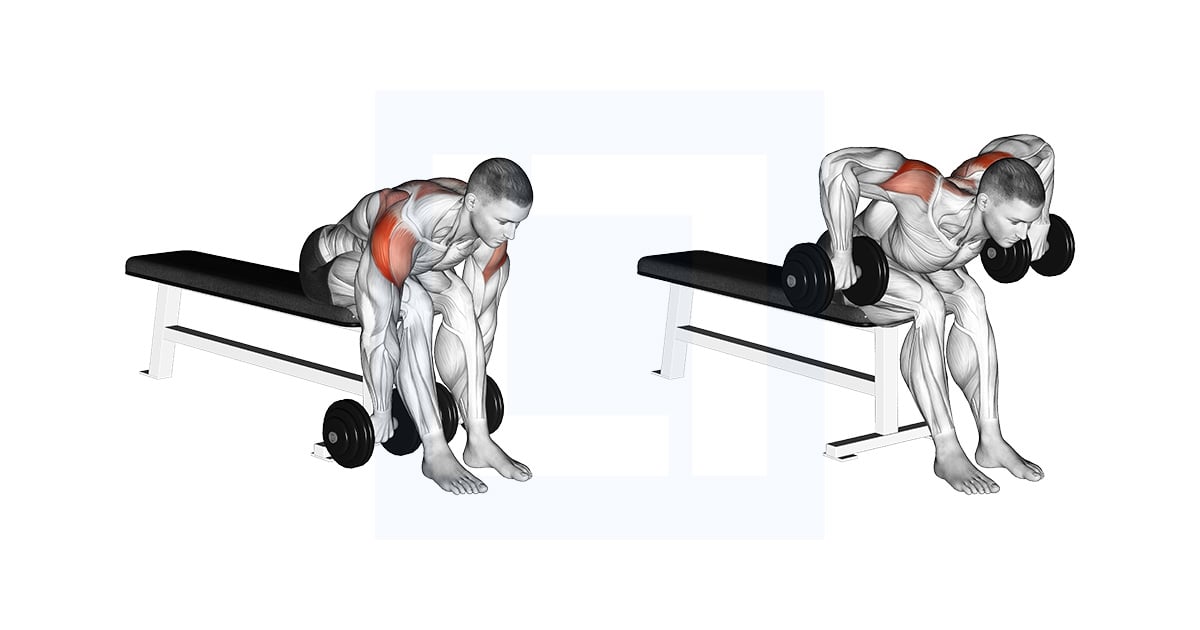 Haltères Assis Bent Over Rear Delt Rowing