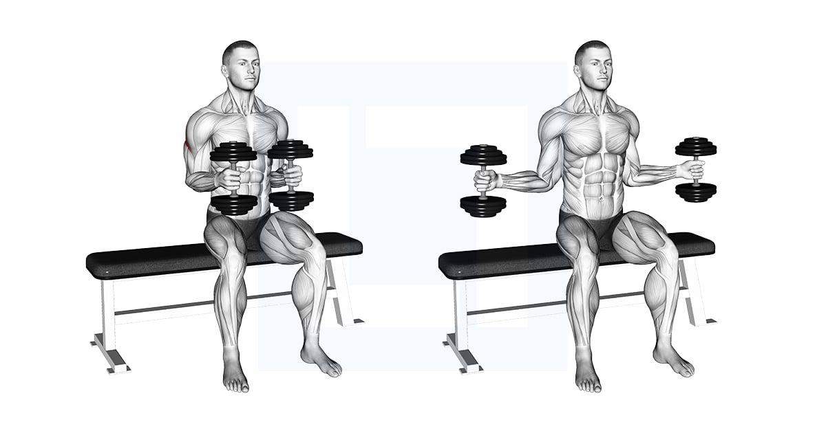 Haltères Assis External Rotation