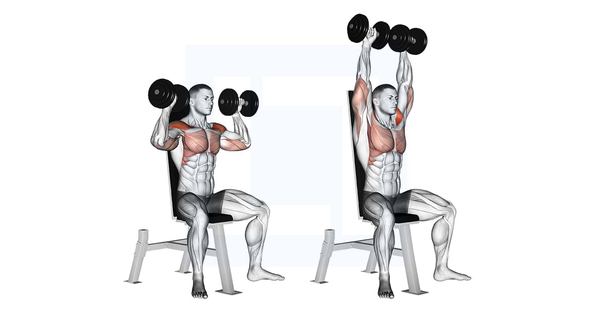 Haltères Assis Shoulder Développé