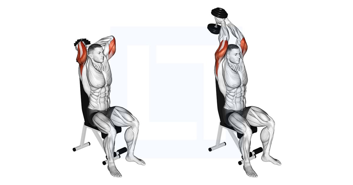 Haltères Assis Triceps Extension