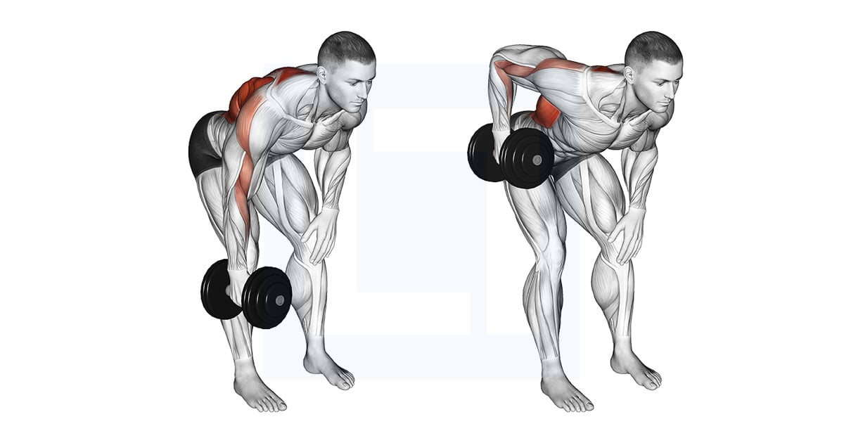 Haltères Single Arm Bent Over Rowing