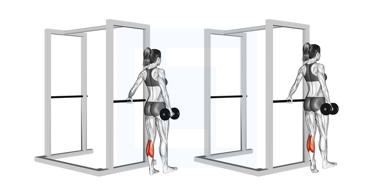 Haltères Une jambe Extension mollets
