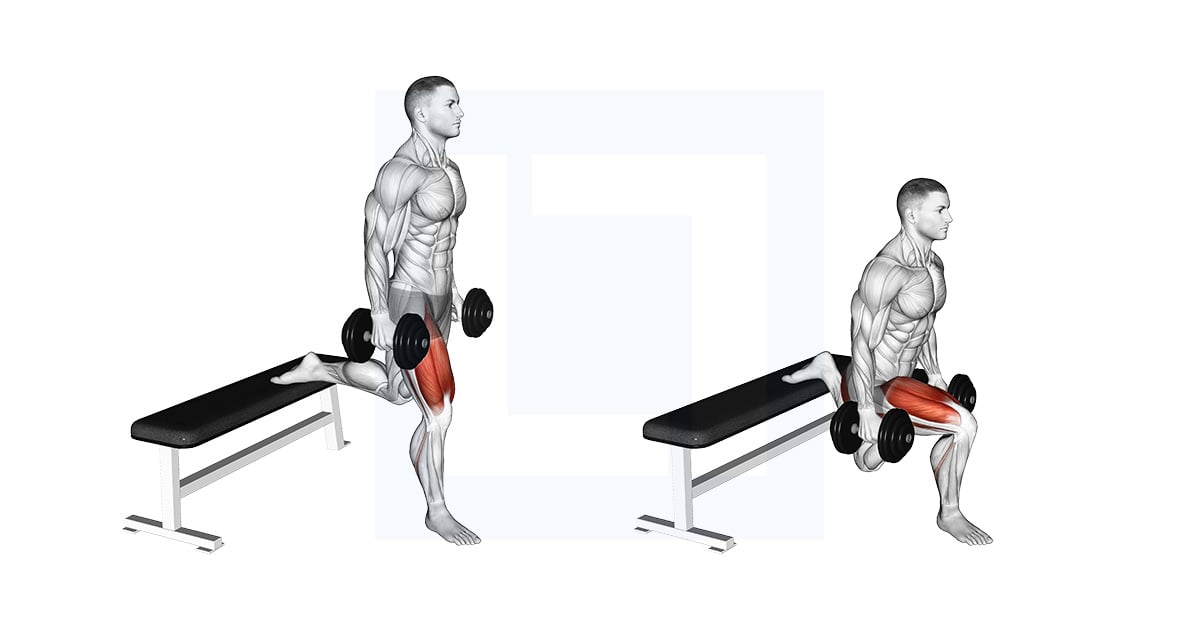 Split Squat  avec haltères