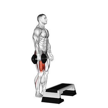 Step up à une jambe avec haltère