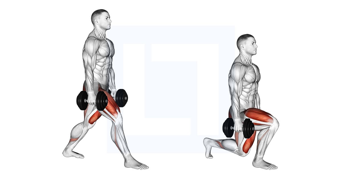 Split Squat divisé avec haltères