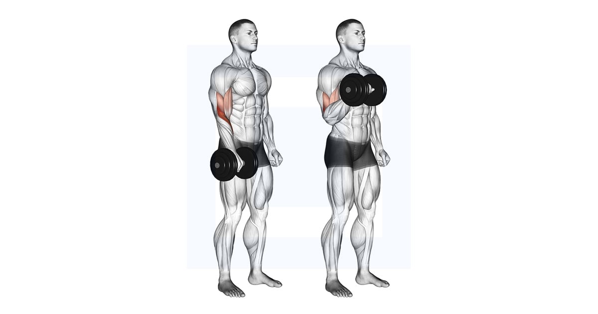 Haltères Debout One Arm Reverse Curl