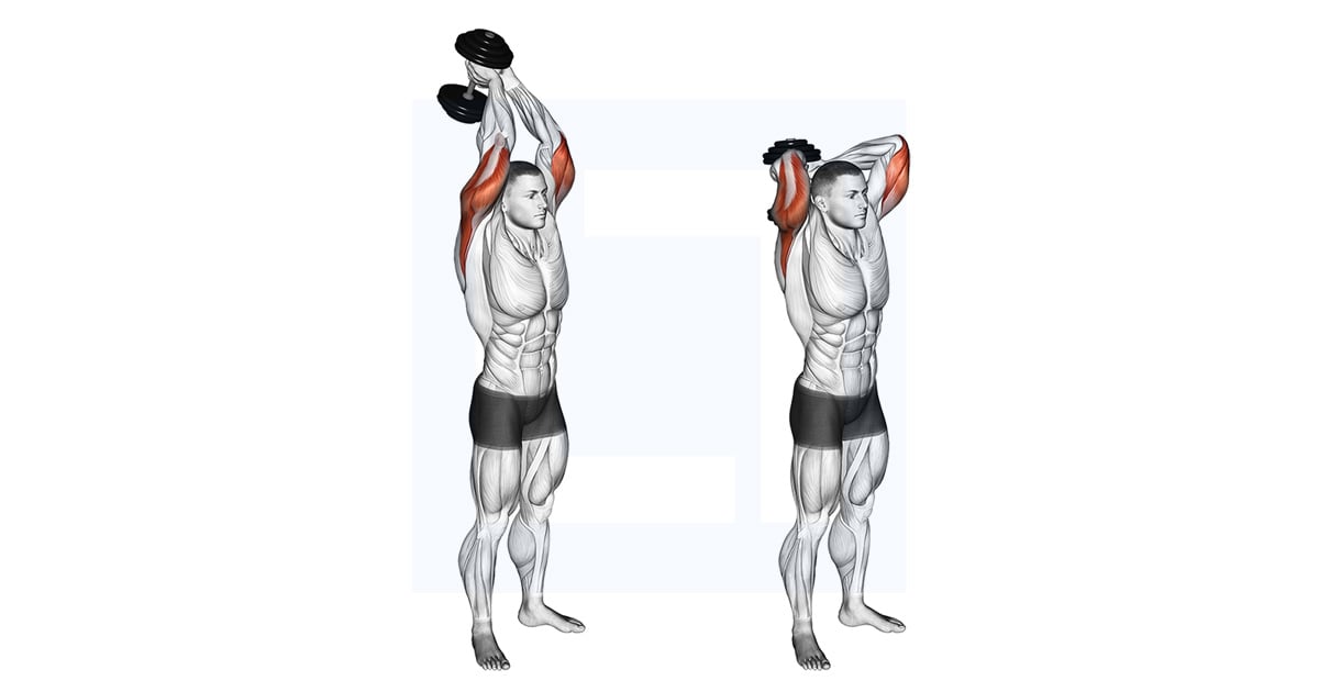 Haltères Debout Triceps Extension