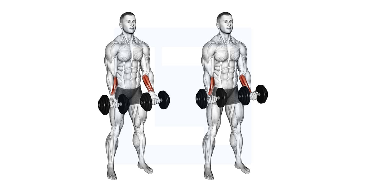 Haltères Debout Wrist Curl