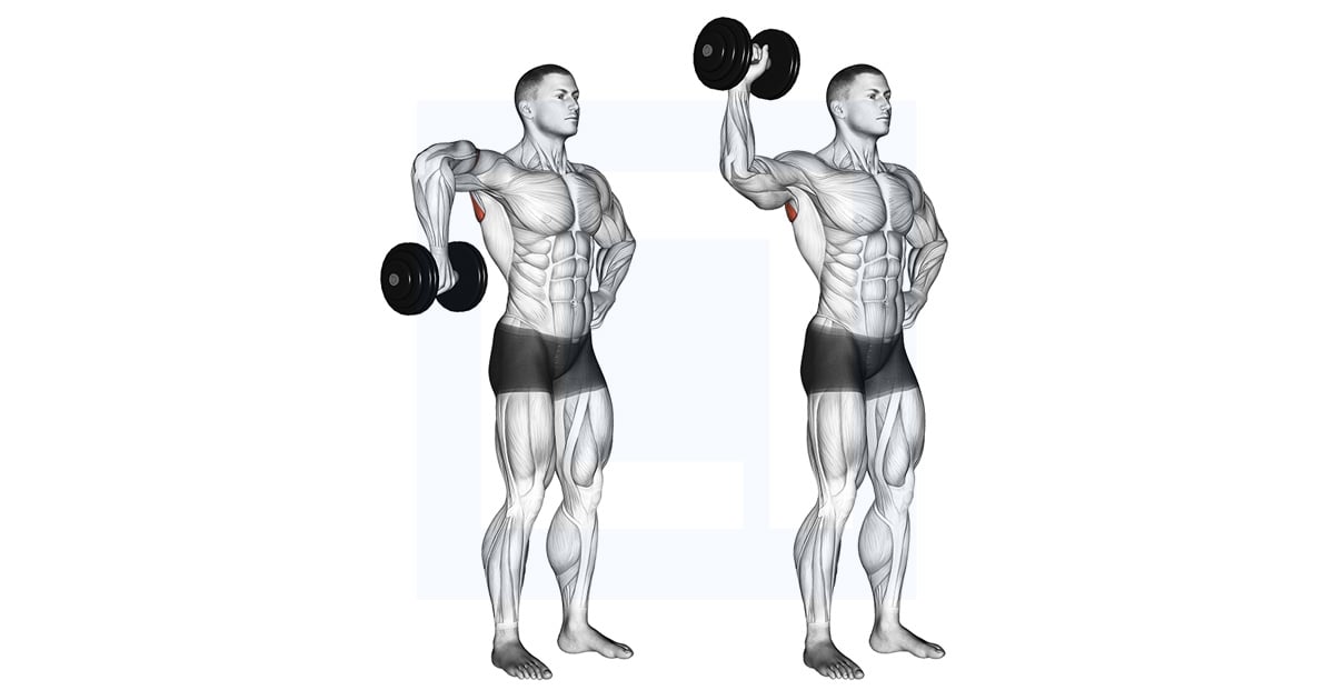 Haltères Upright Shoulder External Rotation