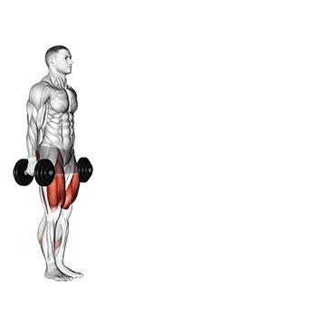 Haltères Walking Lunges