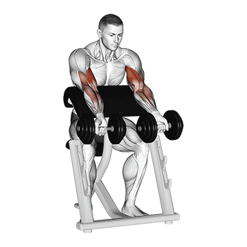 Haltères Zottman Preacher Curl