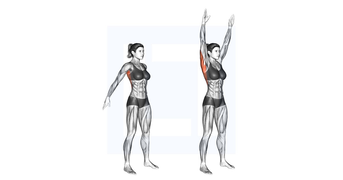 Dynamic Back Stretch