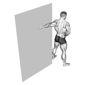 Elbow Flexor Stretch