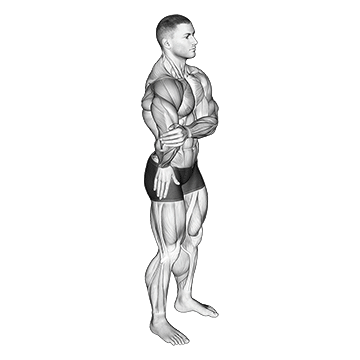 Elbow Out Rotator Stretch