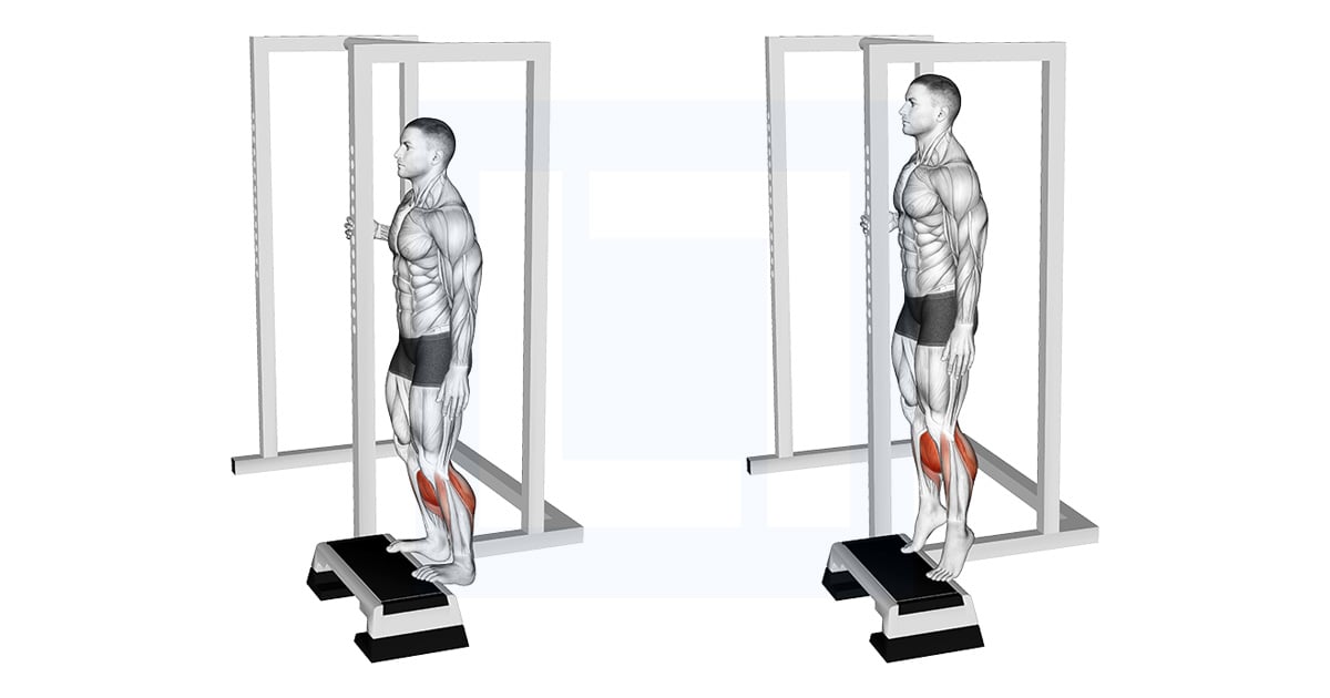 Elevated Debout Extension mollets