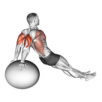 Exercise Ball Dips