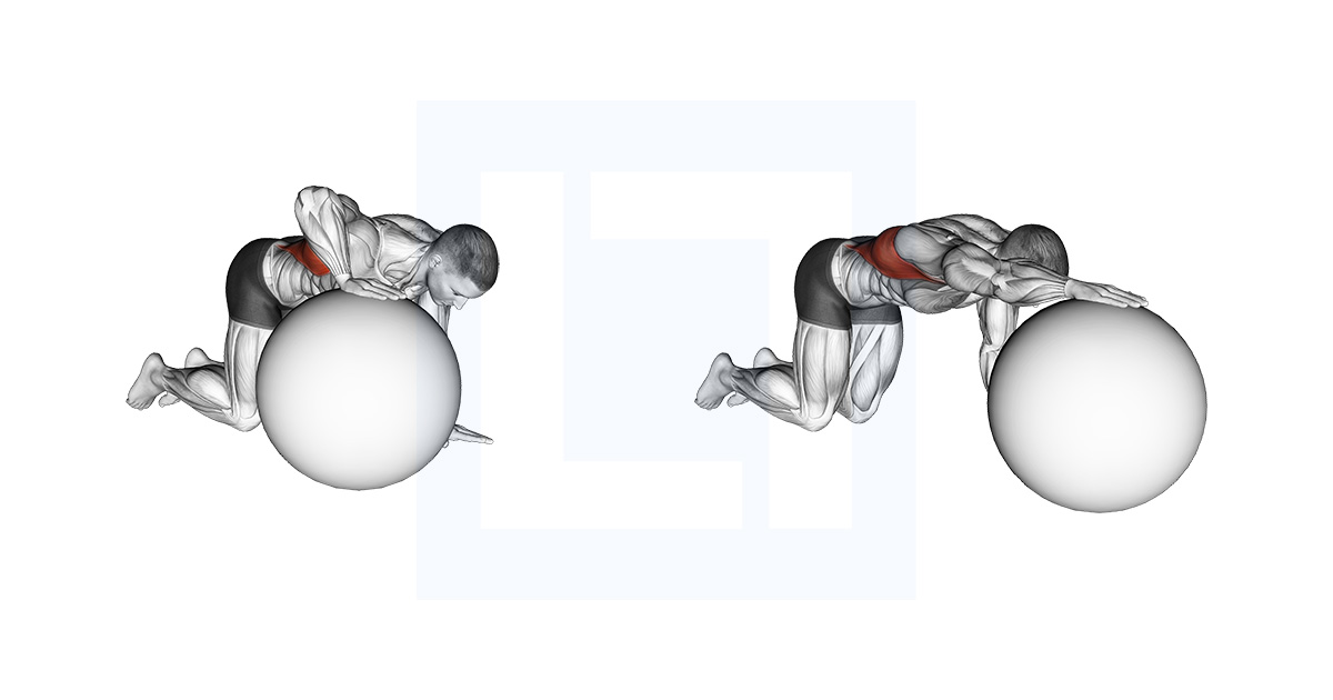 Exercise Ball Lat Stretch