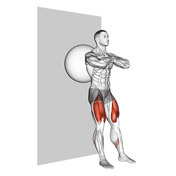 Squat mural avec ballon d'exercice