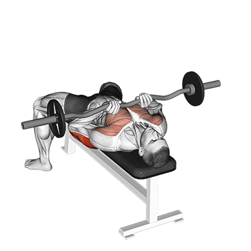 Ez-bar Close Grip Développé couché