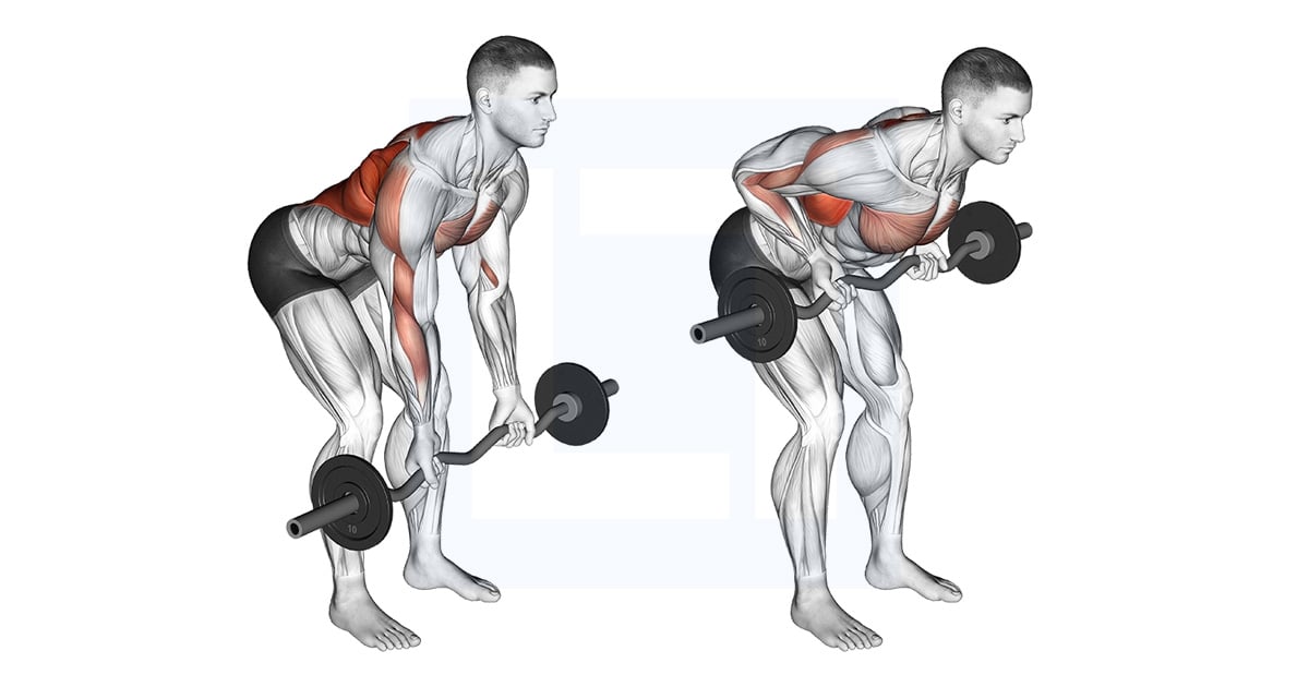 Ez Bar Reverse Grip Bent Over Rowing