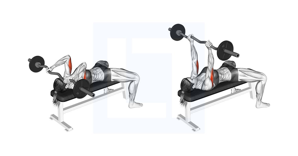 EZ Barre Allongé Triceps Extension