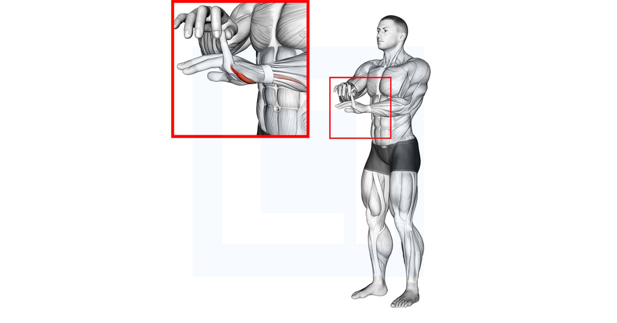 Finger Extension Stretch