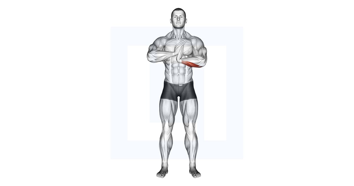 Finger Flexor Stretch