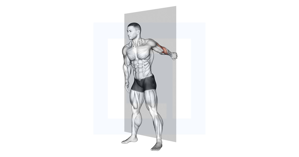 Forearm Pronator Stretch