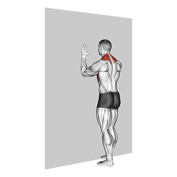 Forearm Wall Slide