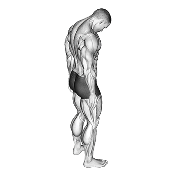 Forward Flexion Neck Stretch
