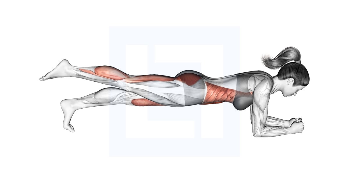 Front Planche With Leg Lift
