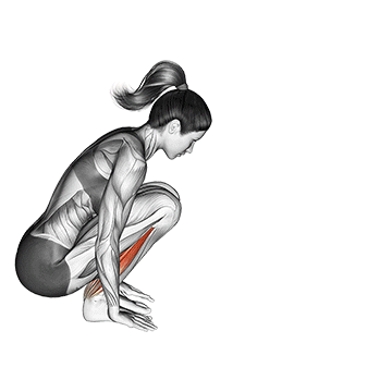 Garland Pose Malasana