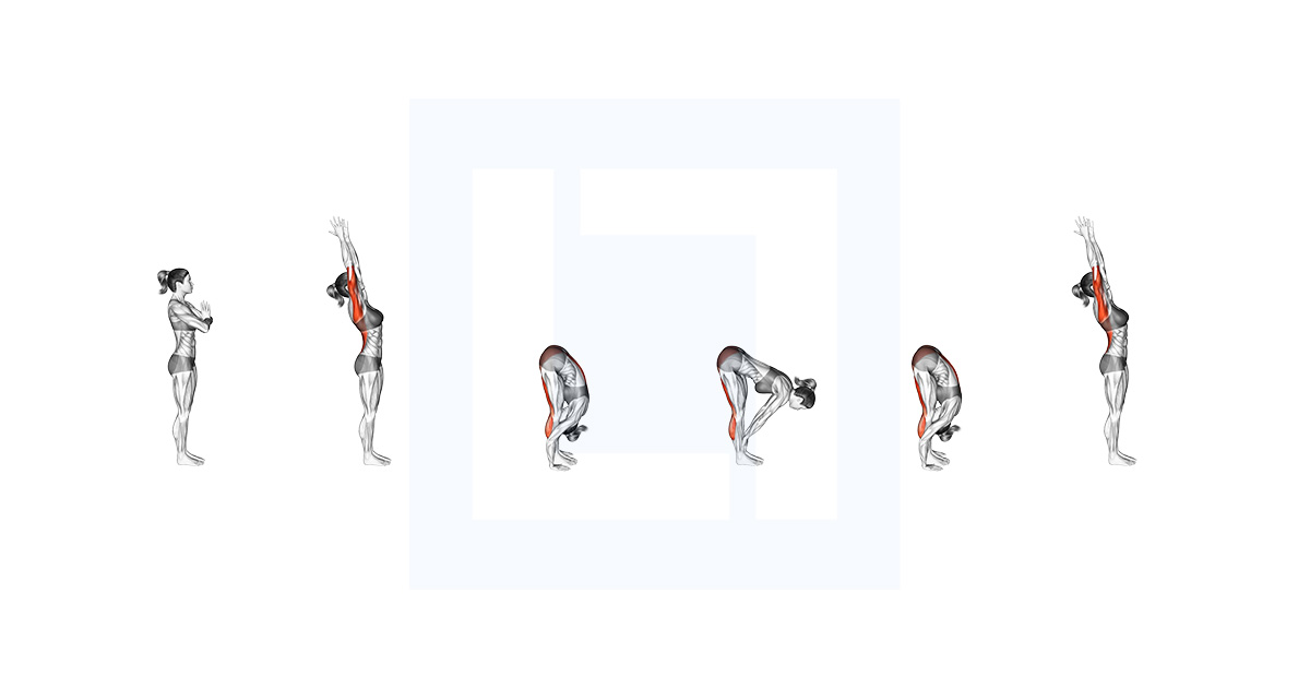 Half Sun Salutation