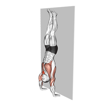 handstand contre un mur