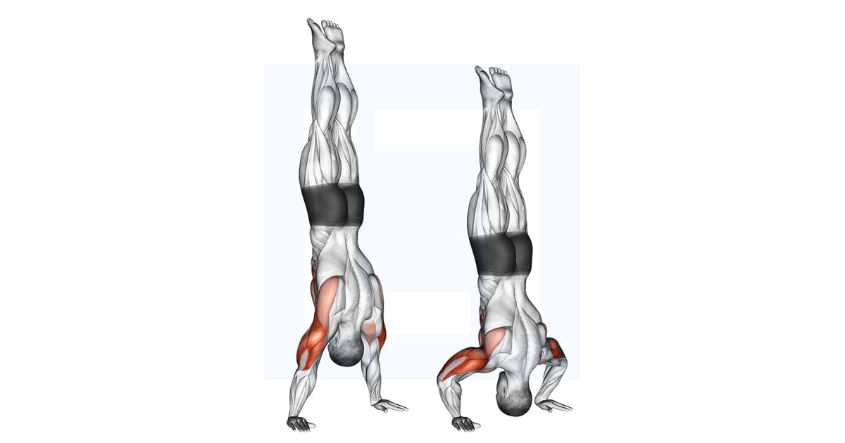 Handstand Pompes