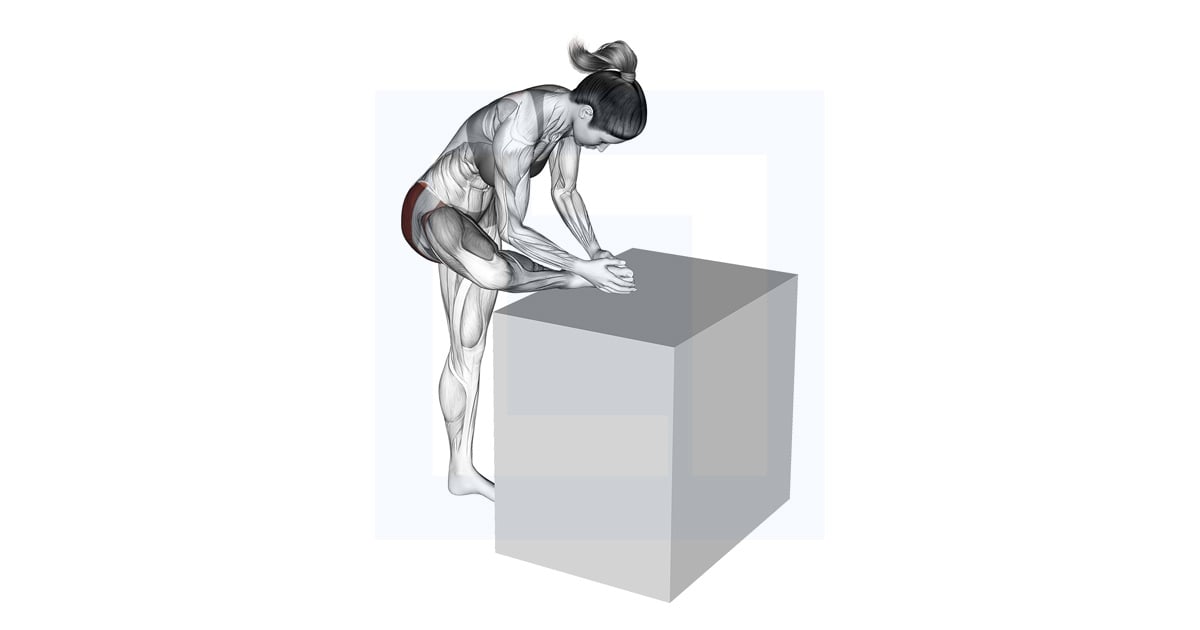 Hip External Rotator Stretch