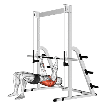 Inverted Rowing Bent Knees