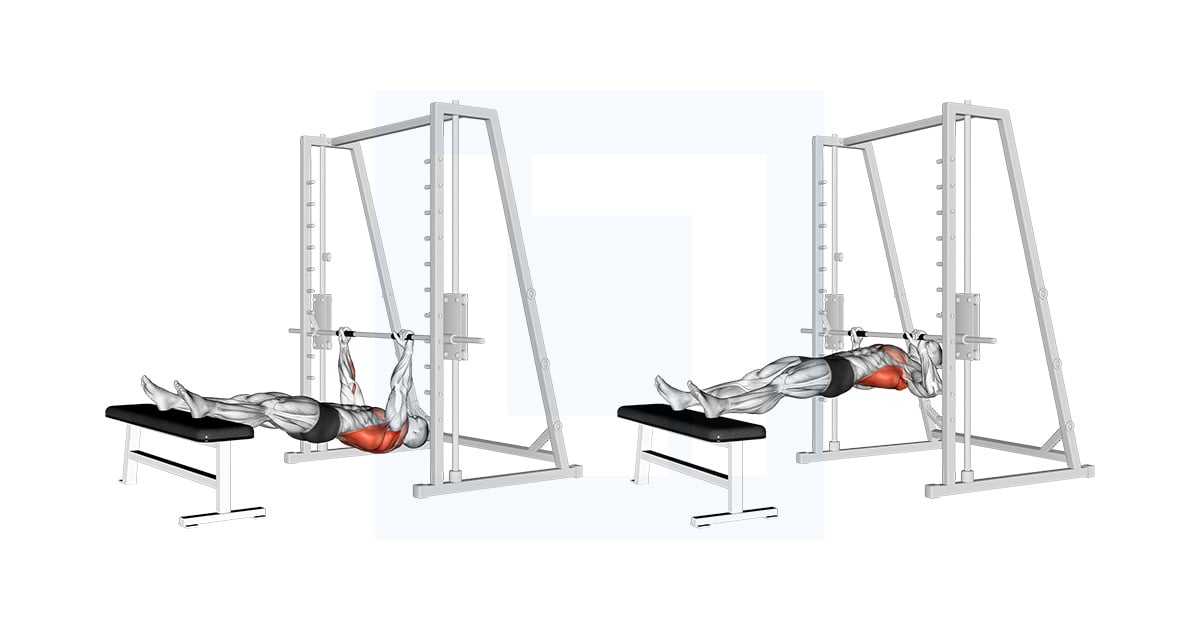 Inverted Rowing on Bench