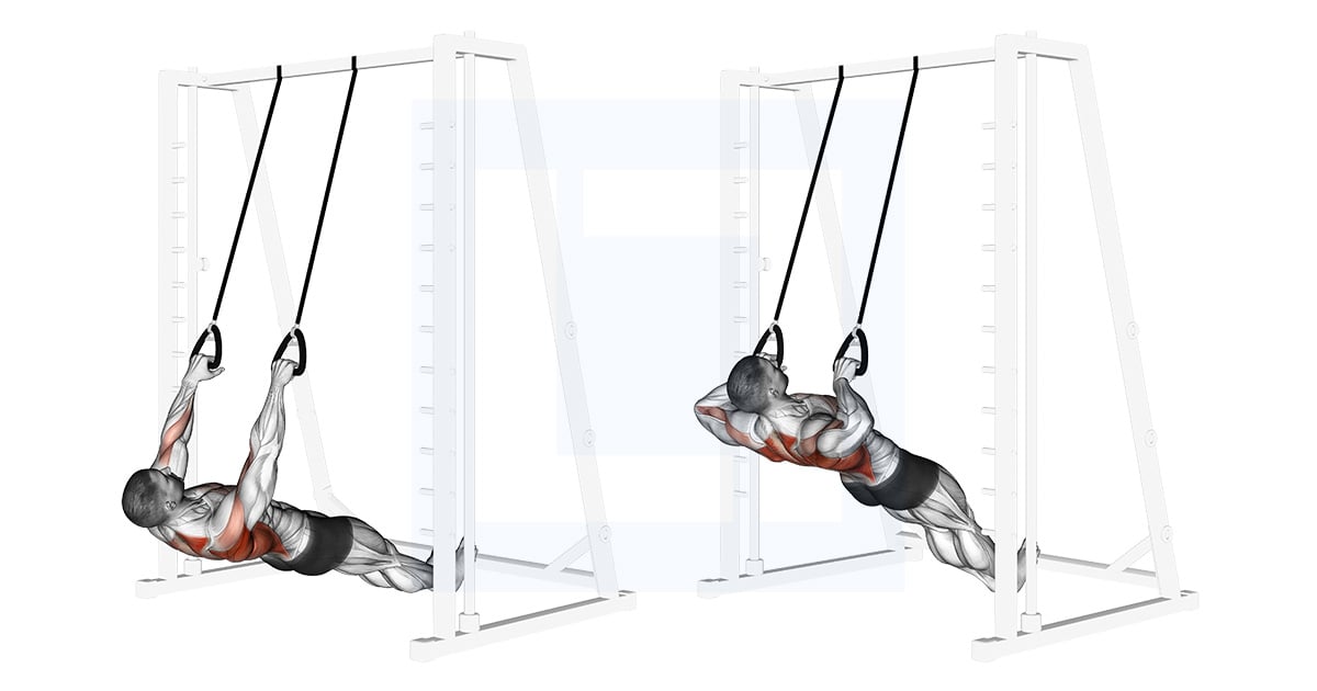 Inverted Rowing With Straps