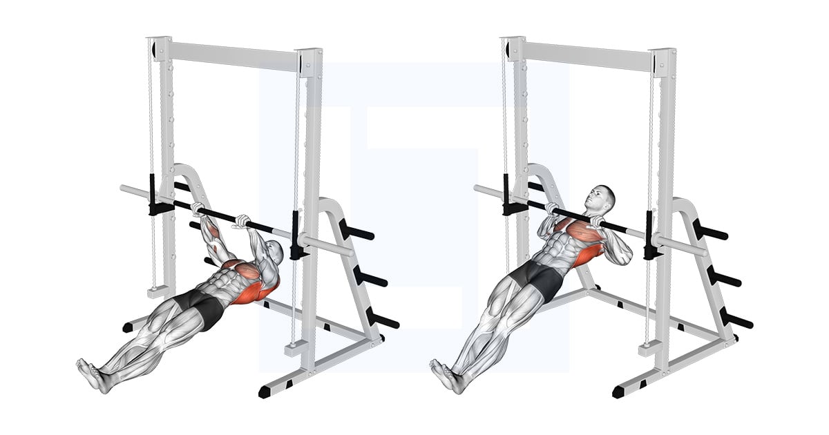 Inverted Rowing