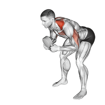 Kettlebell Angled Développé